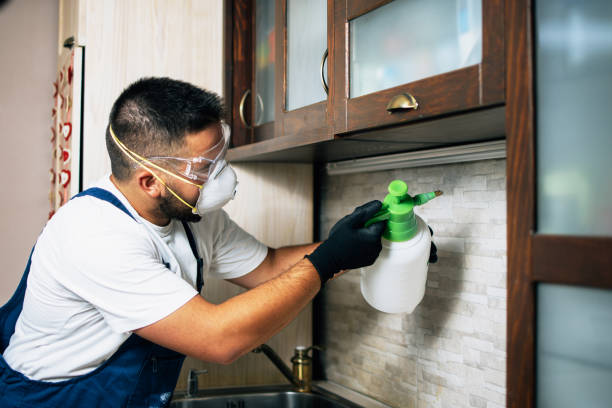 Reliable Stansberry Lake, WA Pest Control Solutions