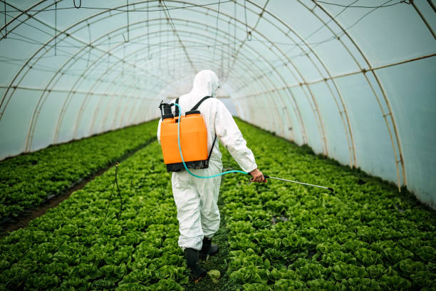 Best Pest Inspection Near Me  in Stansberry Lake, WA
