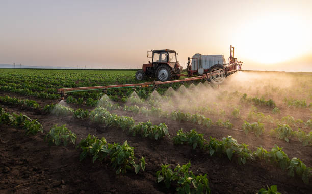 Pest Control Cost in Stansberry Lake, WA
