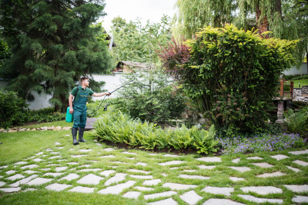 Best Pest Control for Restaurants  in Stansberry Lake, WA