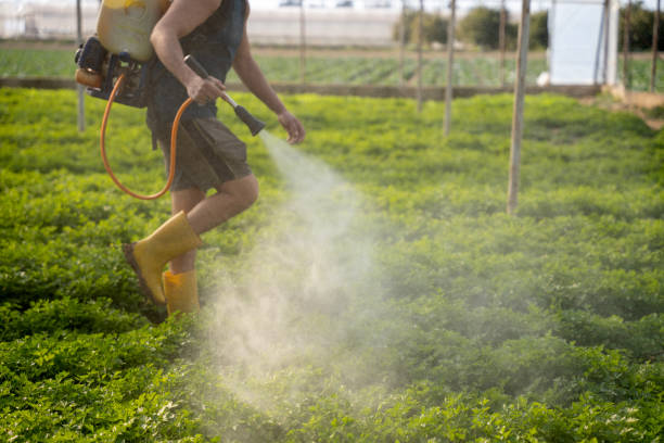  Stansberry Lake, WA Pest Control Pros
