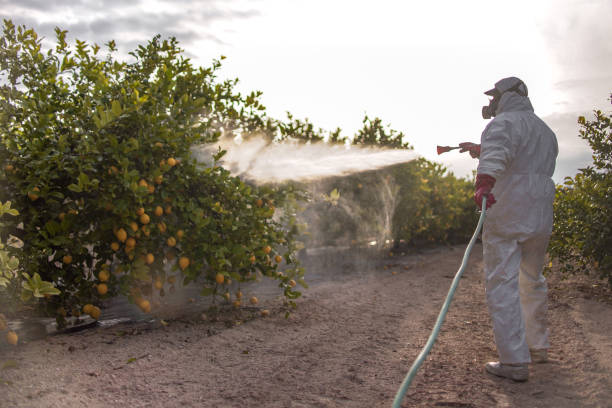 Best Commercial Pest Control Services  in Stansberry Lake, WA